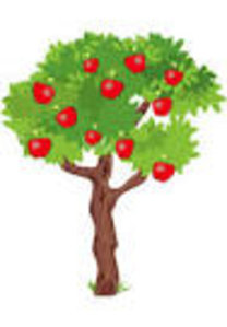 Apprenez à greffer des arbres fruitiers